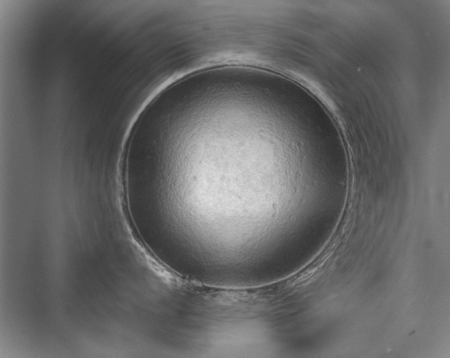 X0000076220528200610051100