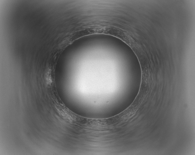 X0000076220530200610051101