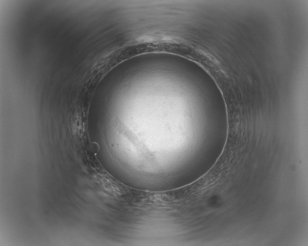 X0000076220534200610051101