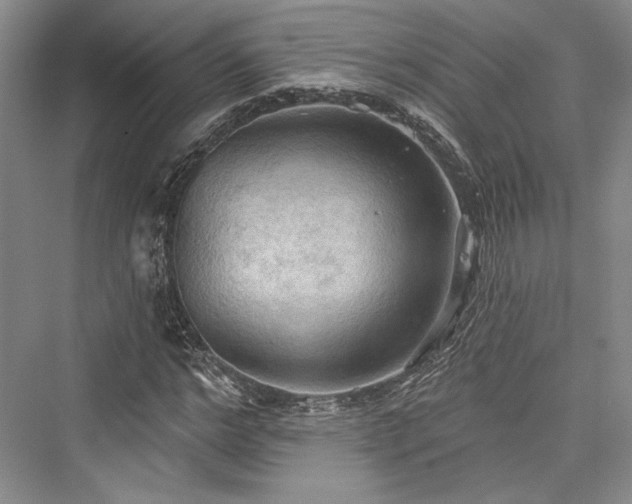 X0000076220536200610051101