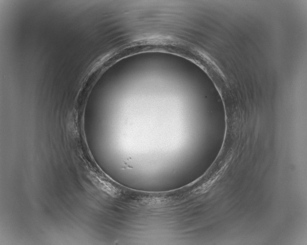 X0000076220538200610051100