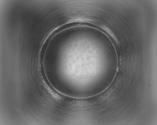 X0000076220540200610051100