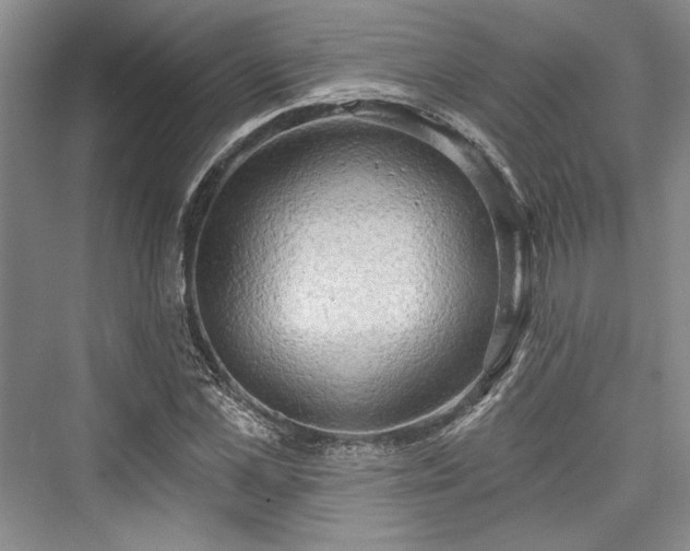X0000076220541200610051100