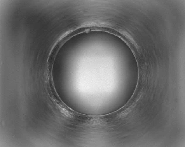 X0000076220542200610051100