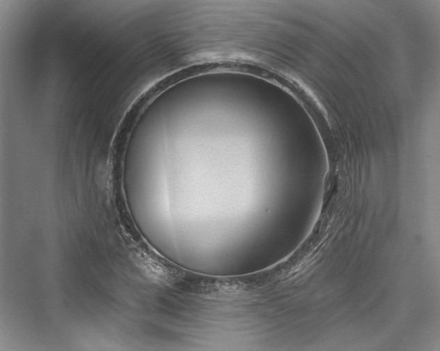 X0000076220543200610051100