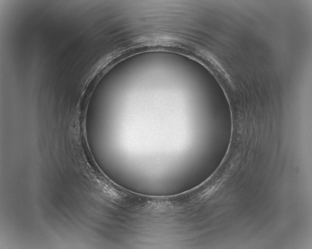 X0000076220546200610051100