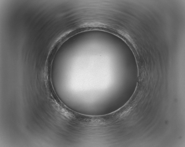 X0000076220547200610051100
