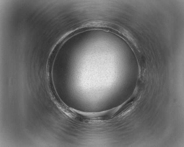 X0000076220549200610051100