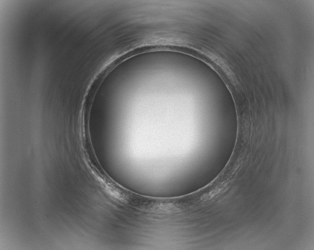 X0000076220550200610051100