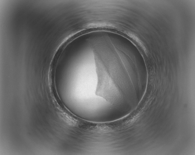 X0000076220551200610051100