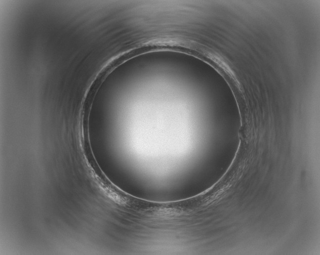 X0000076220552200610051100