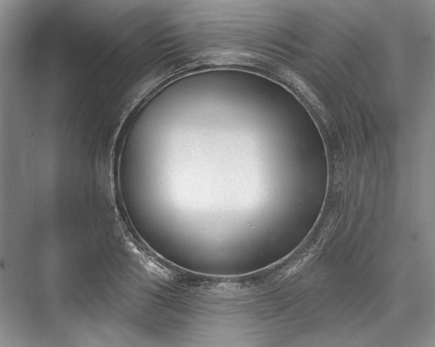 X0000076220554200610051100