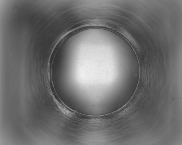 X0000076220556200610051100