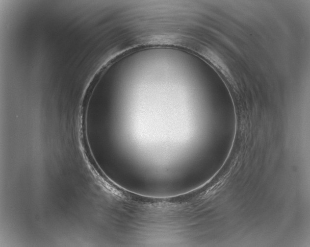 X0000076220560200610051100