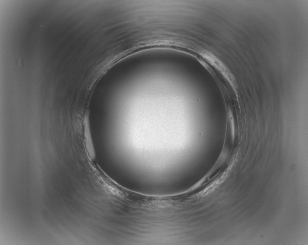 X0000076220561200610051100
