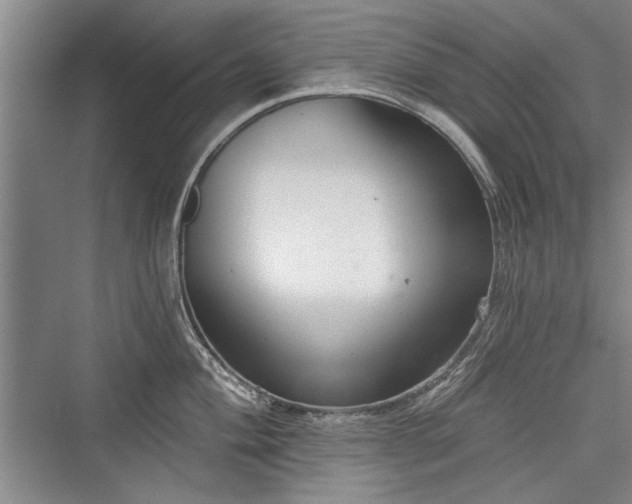 X0000076220572200610051100