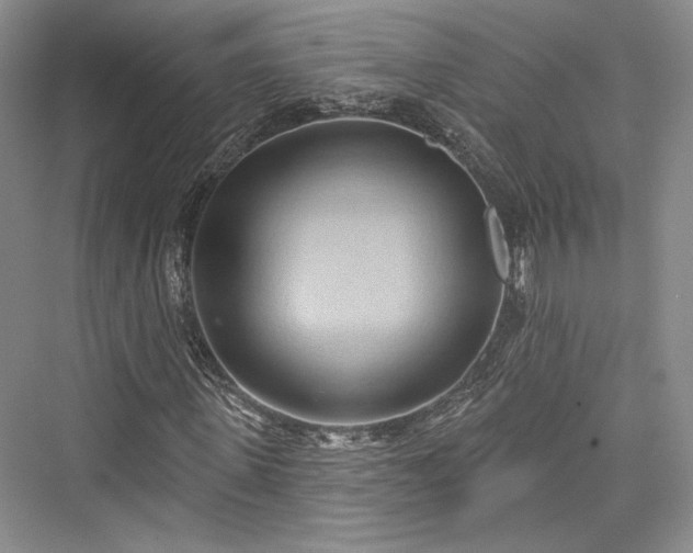 X0000076220579200610051101