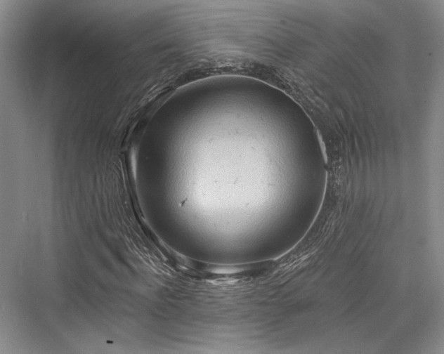 X0000076220580200610051101