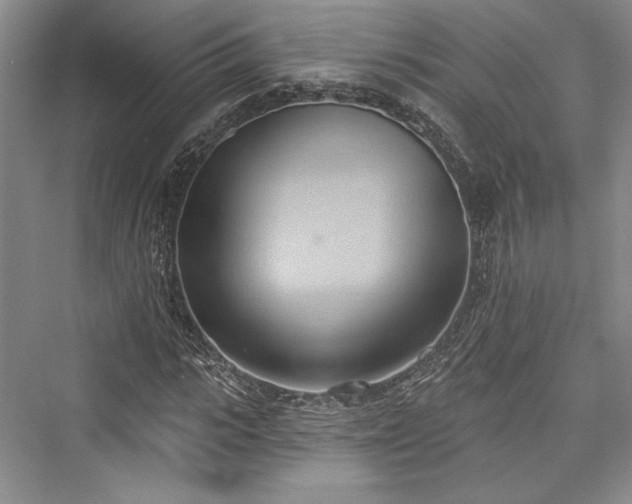 X0000076220583200610051101