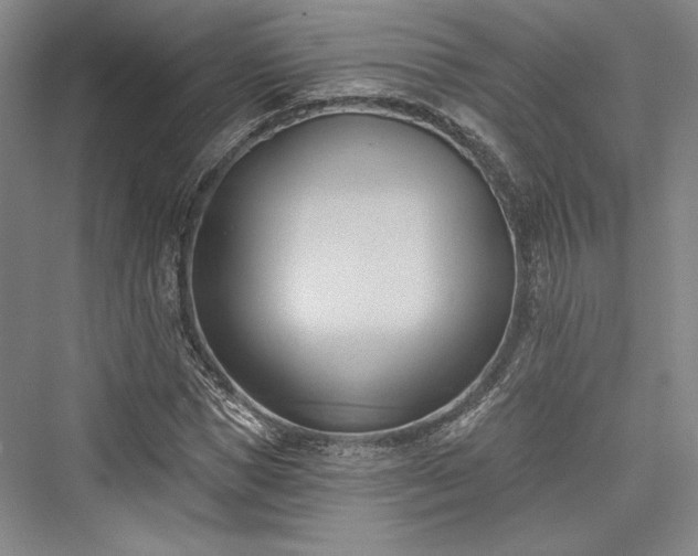 X0000076220585200610051101