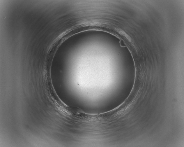 X0000076220586200610051101