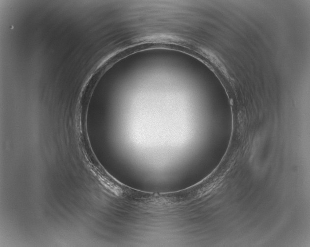 X0000076220595200610051101