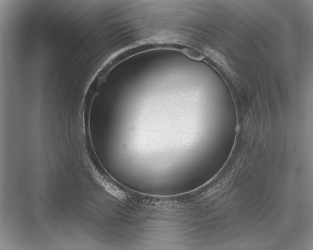 X0000076220598200610051101