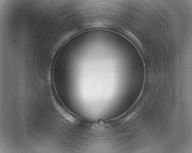 X0000076220602200610051101