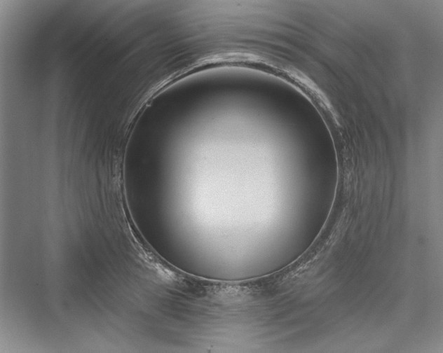 X0000076220609200610051101