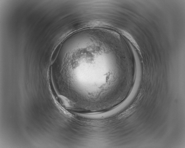 X0000076220610200610051101