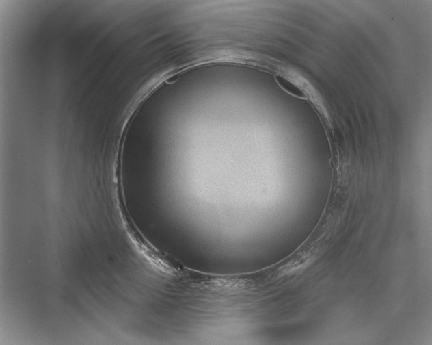 X0000076220618200610051101