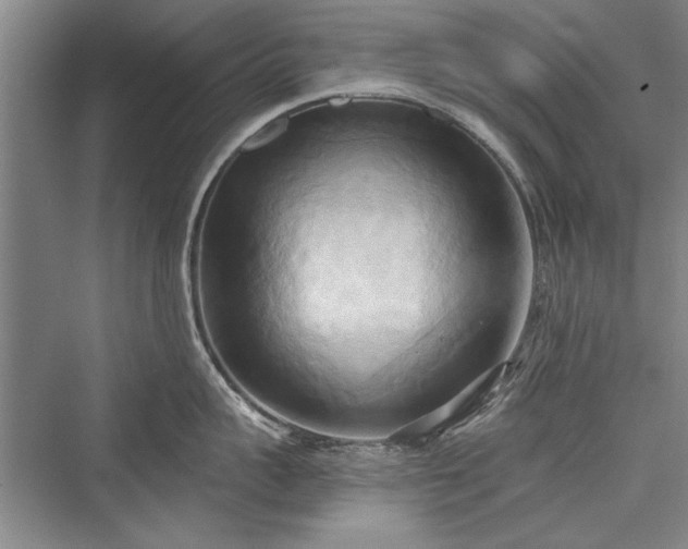 X0000076220623200610051101