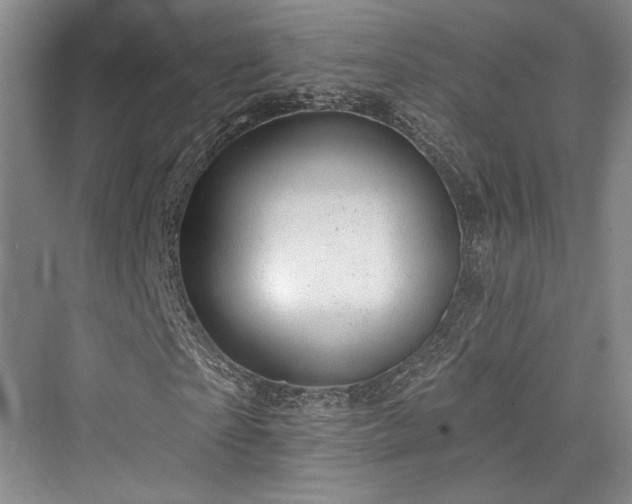 X0000076220625200610051102