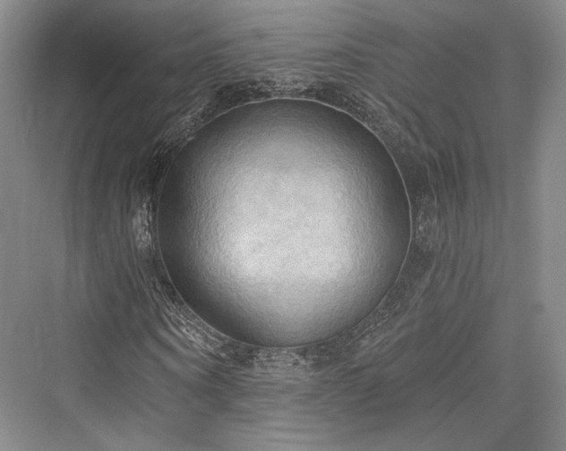 X0000076220626200610051102