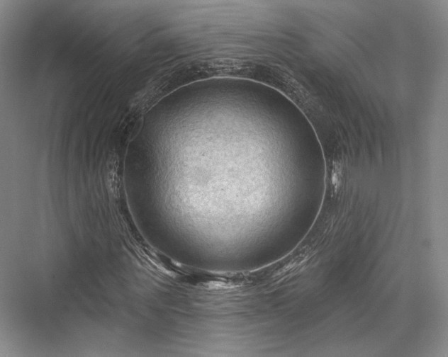 X0000076220627200610051102