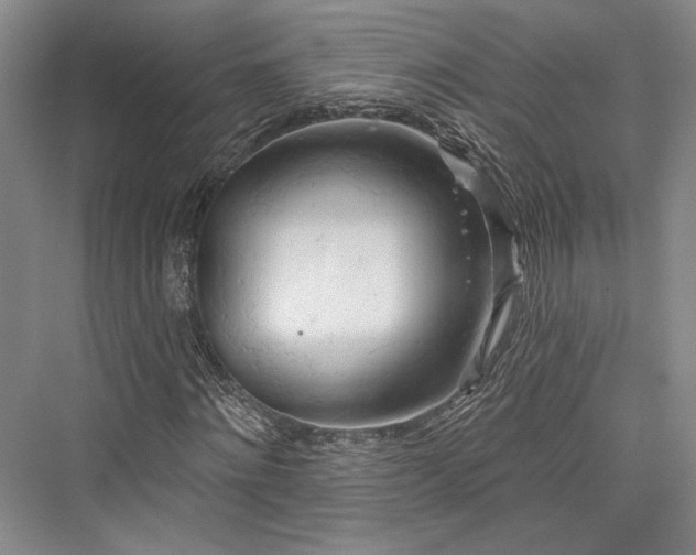 X0000076220628200610051102