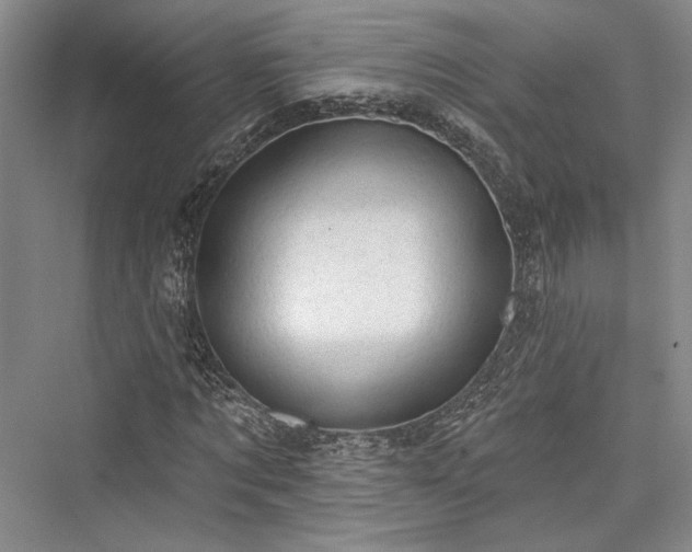 X0000076220629200610051102