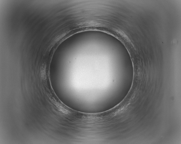 X0000076220633200610051102