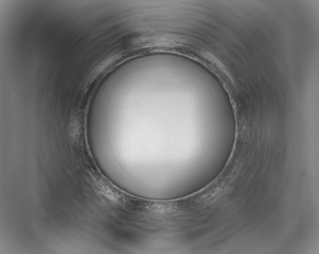 X0000076220634200610051102