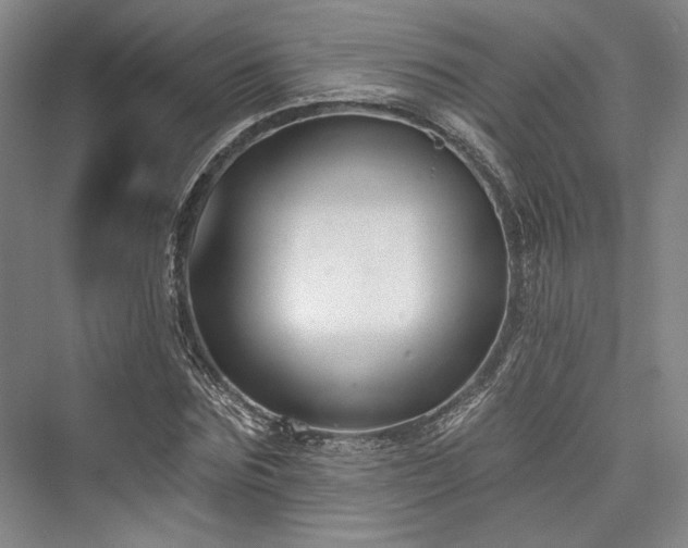 X0000076220635200610051102