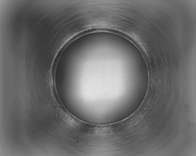 X0000076220647200610051102