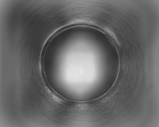 X0000076220648200610051102