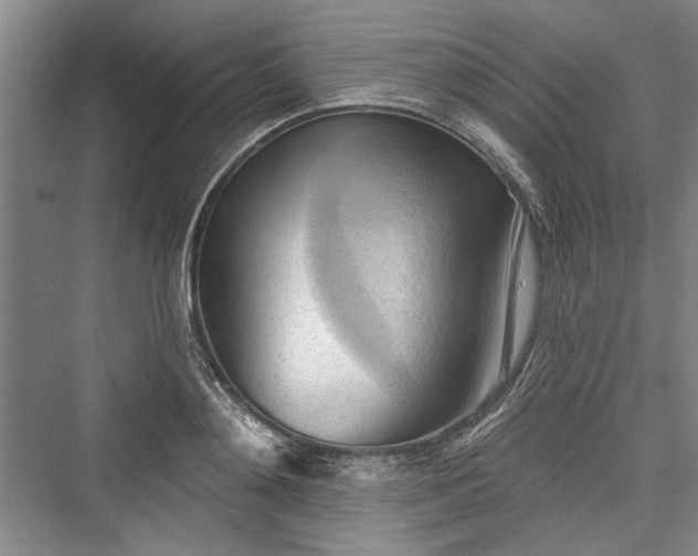 X0000076220652200610051102