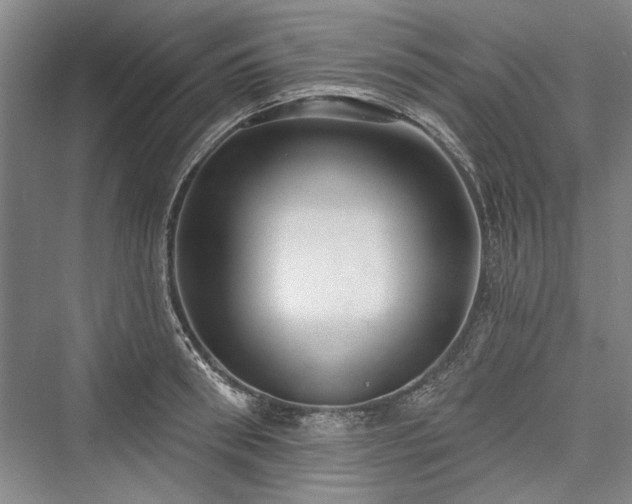 X0000076220658200610051102