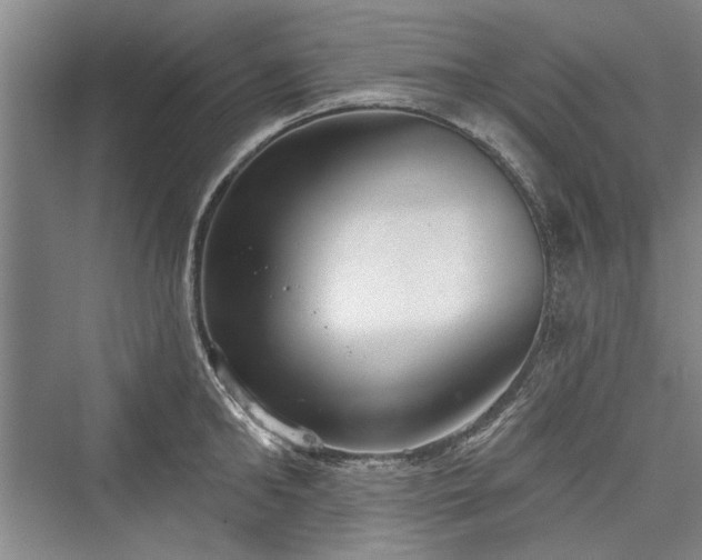 X0000076220662200610051102