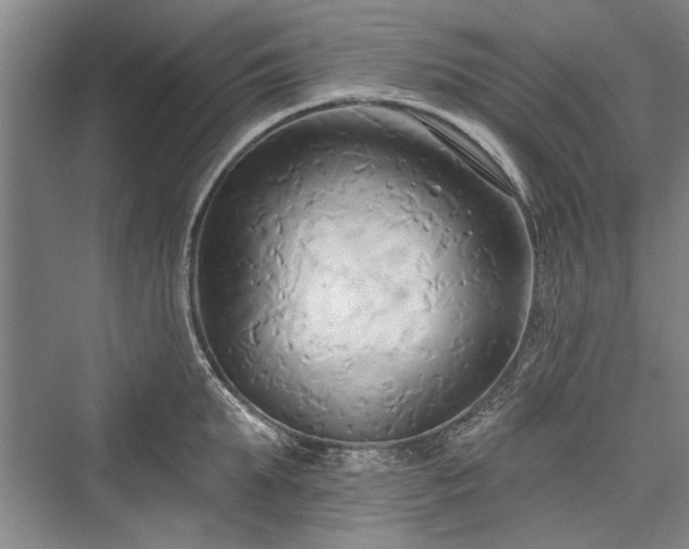 X0000076220663200610051102