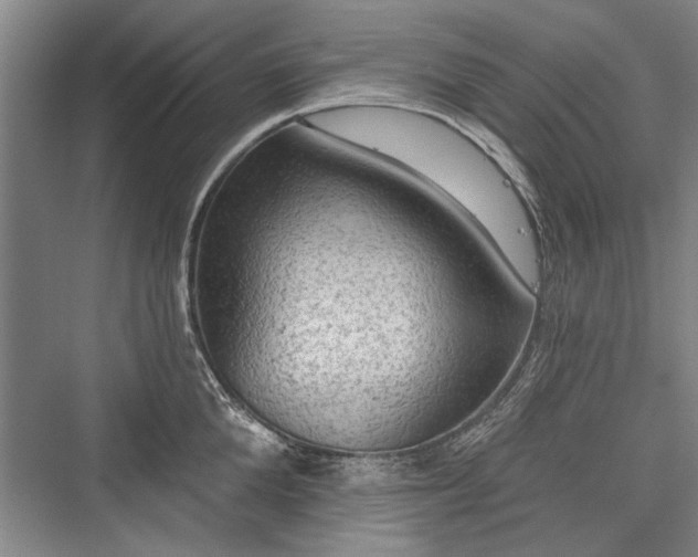 X0000076220664200610051102