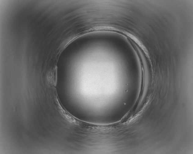 X0000076220665200610051102