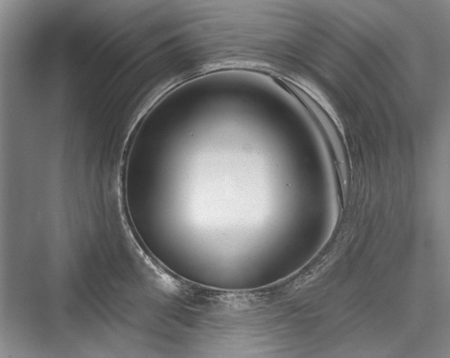 X0000076220666200610051102
