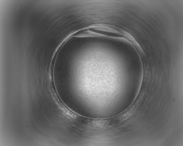 X0000076220668200610051102